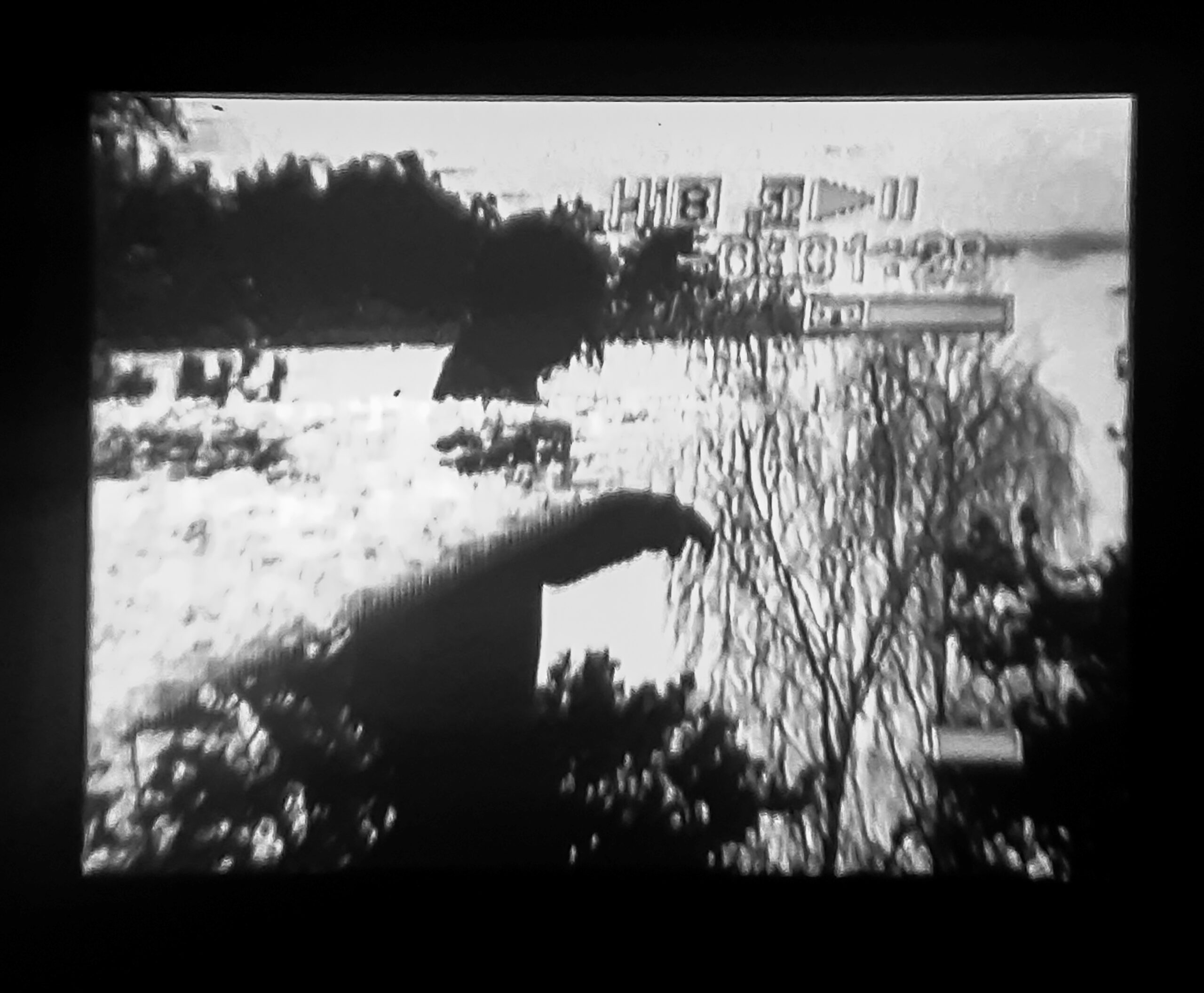 7.3. / Radio silence